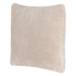 Set de 2 Cojines de 40 x 40 cm con Textura Suave Color Gris Claro