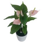 Anturio Artificial con Maceta 22 x 36 Cm