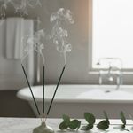 Incienso en Varita Aroma Eucalipto 20 Unidades