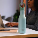 Botella Insulada Verde 500 Ml - Joseph Joseph