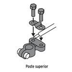 Terminales de Latón 2 Unidades