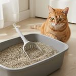 Pala Jumbo Moderna para Arenero Color Gris