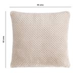 Set de 2 Cojines de 40 x 40 cm con Textura Suave Color Gris Claro