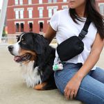 Dispensador Plástico Arm & Hammer con Bolsas para Desechos