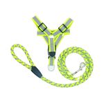 Arnés y Correa Reflectivo para Perro Talla S Colores Surtidos