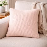 Set de 2 Cojines Decorativos de 40 x 40 cm con Textura Suave Color Rosado