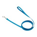 Jalador para Perro de Nylon Celeste de 3/8 Plg