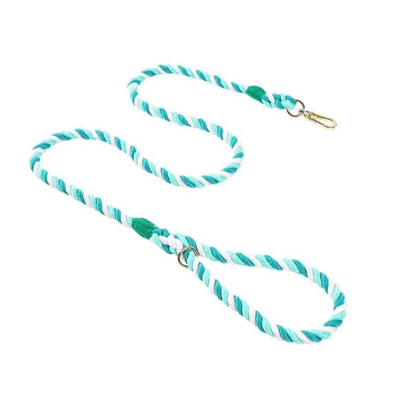 Correa Li'l Pals Mini Rope para Perro Color Aqua