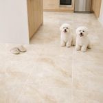 Piso Cerámico Alabastro Acabado Brillante Color Beige de 61 x 61 cm en Caja de 2.65 m²