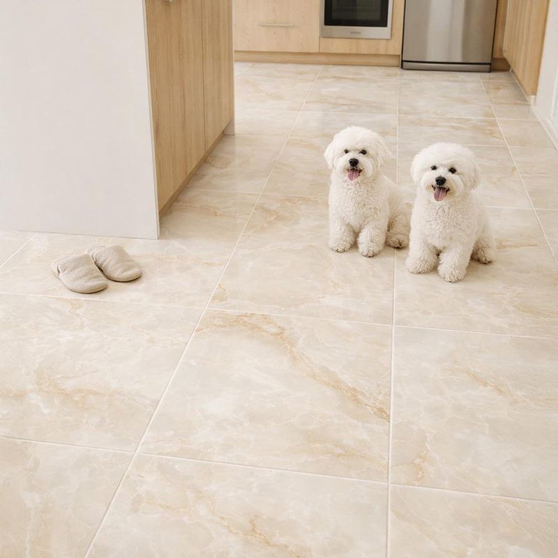 Piso Cerámico Alabastro Acabado Brillante Color Beige de 61 x 61 cm en Caja de 2.65 m²