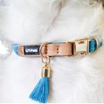 Collar LiL Pals Puppy Mini Azul de 3/8 Plg