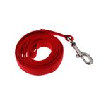 Jalador para Perro de Nylon Rojo 1 Plg