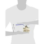 Válvula Bola 1 1/2 Plg 600 PSI Níquel
