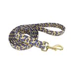 Correa para Perro Accent Color Azul y Dorado de 5/8 Plg