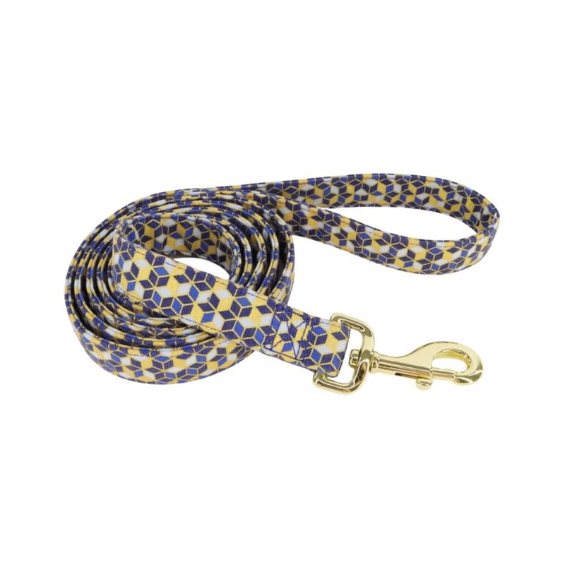 Correa para Perro Accent Color Azul y Dorado de 5/8 Plg