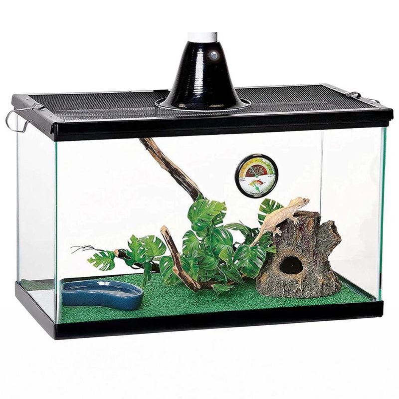 Kit Básico Tropical para Reptiles con Terrario de 20x10x12 Plg