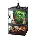 Kit Tropical Vertical para Reptiles Arborícolas y Anfibios Tropicales de 12x12x18 plg