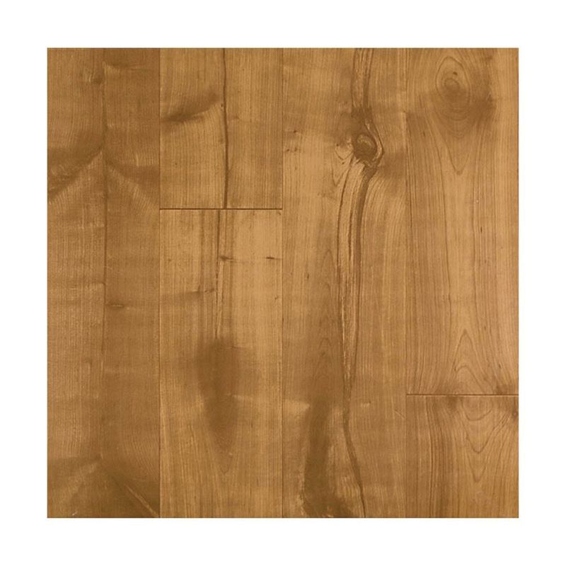 Piso Cerámico Canela Acabado Brillante Color Café de 61 x 61 cm en Caja 2.65 m²