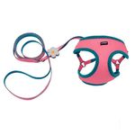 Set de Arnés y Jalador Lil Pals de Mesh Rosado