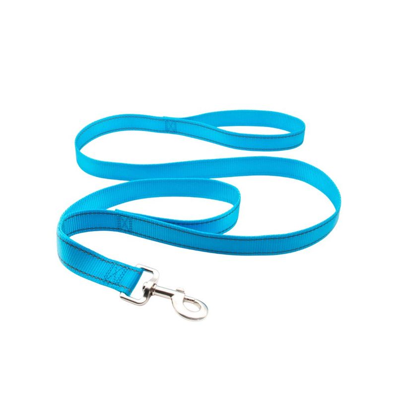 Jalador para Perro de Nylon Celeste 1 Plg