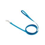 Jalador para Perro de Nylon Celeste 1 Plg
