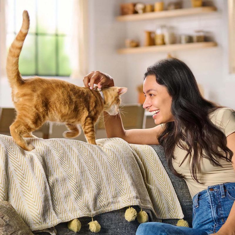 Alimento Seco para Gato Adulto Meow Mix Original Choice de 16 lb