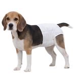 Pañales Desechables para Perro Wee Wee Talla Medium 12 Piezas