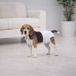 Pañales Desechables para Perro Wee Wee Talla Medium 12 Piezas