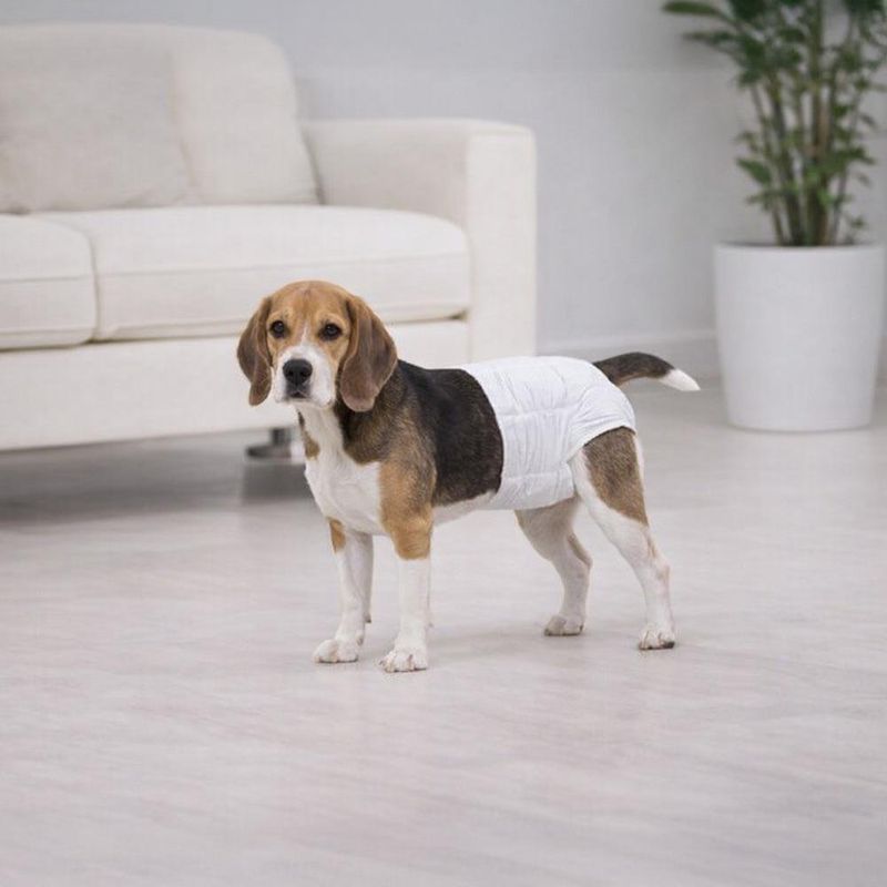 Pañales Desechables para Perro Wee Wee Talla Medium 12 Piezas