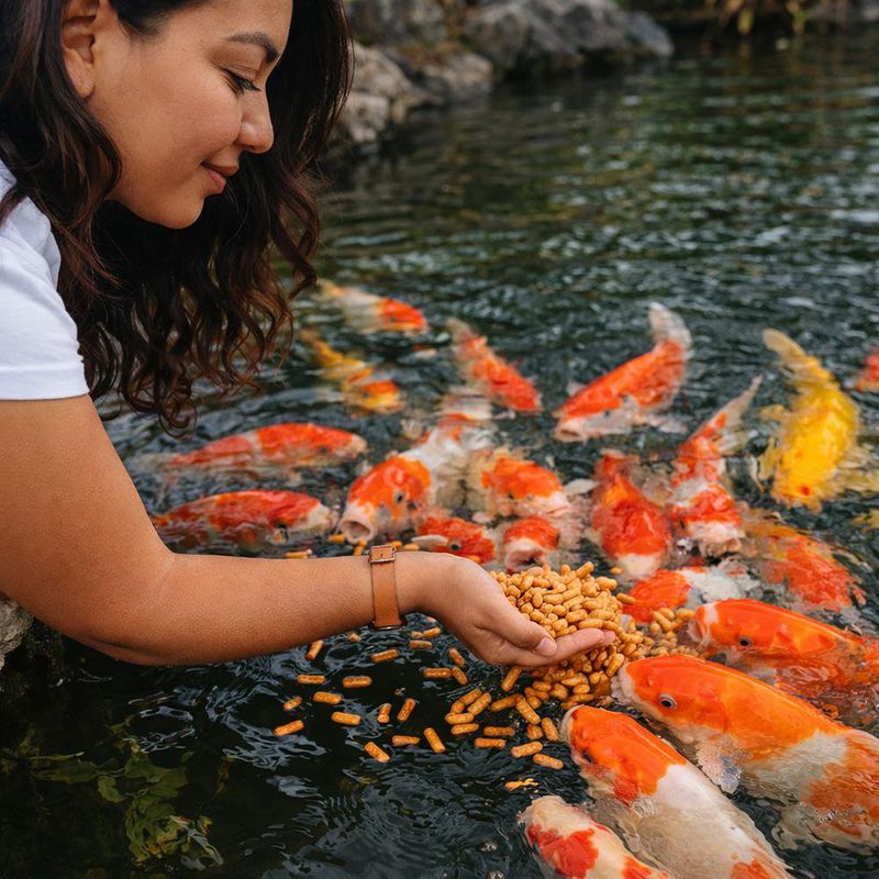 Alimento para Pez Tetra Pond Variety Blend Bolsa de 2.25 lb