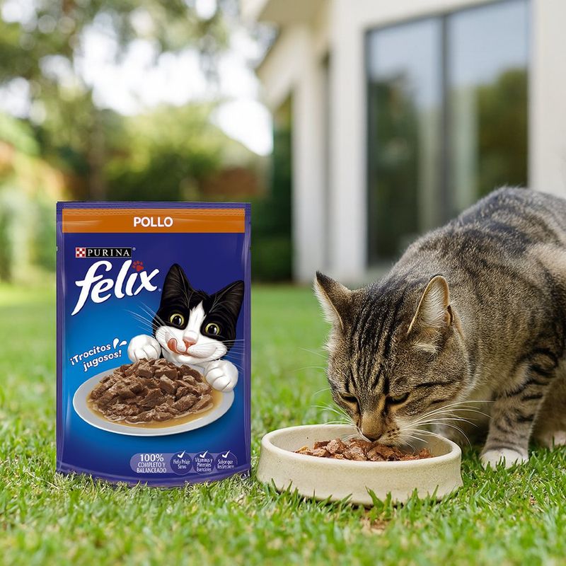 Sobre de Comida para Gato Sabor Pollo en Salsa 85 Gramos