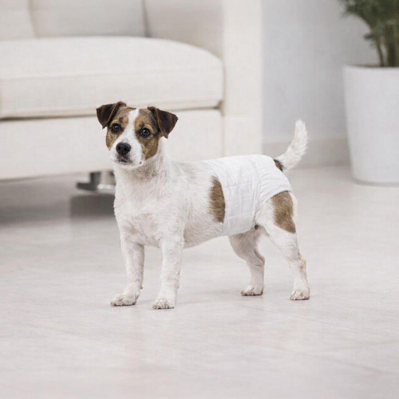 Pañales Desechables para Perro Wee Wee Talla Small 12 Piezas