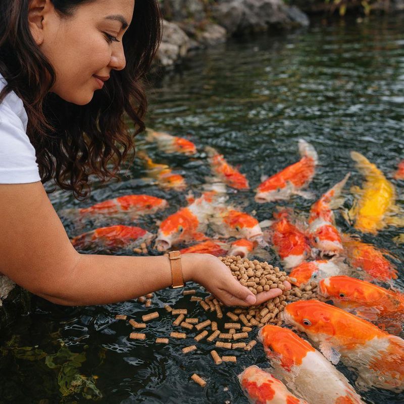 Alimento para Pez Tetra Pond Pond Sticks Cubeta de 2.53 lb