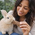 Golosina en Barra Kaytee Honey Treat para Conejo de 8 oz