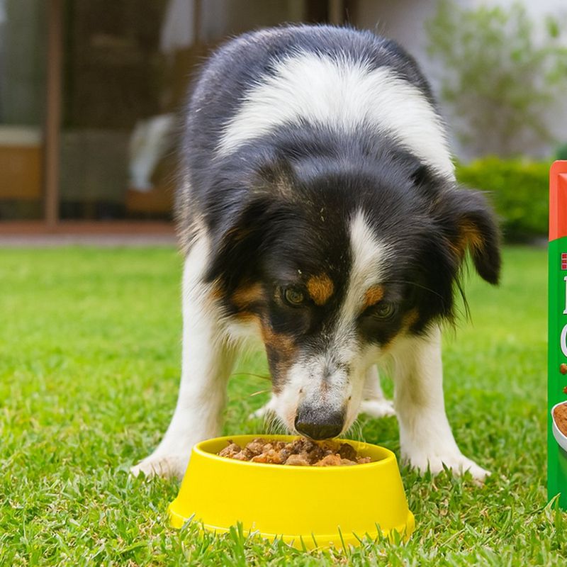 Alimento Húmedo para Perro Adulto Todas las Razas con Trozos de Pollo 100 Grs
