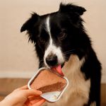 Alimento Húmedo para Perro Adulto Todas las Razas con Hígado y Pollo 150 Grs