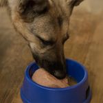 Alimento Húmedo para Perro Adulto Todas las Razas con Hígado y Pollo 150 Grs