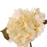Hortensia Decorativa Artificial Color Crema