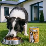 Alimento Húmedo en Lata para Perro Adulto con Pollo y Pavo Cocido al Horno 415 Grs