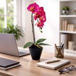 Orquídea Artificial Decorativa con Pote Color Fucsia