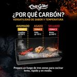 Churrasquera Mediana a Carbón con Mesas Laterales y Ruedas