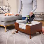 Aspiradora Portátil Pet Stain Eraser para Alfombras y Pisos