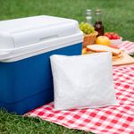 Hielo Seco en Bolsa para Conservación y Transporte en Frío