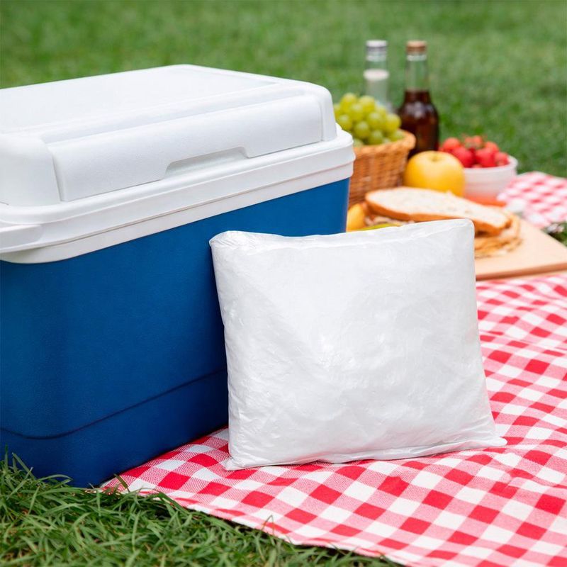 Hielo Seco en Bolsa para Conservación y Transporte en Frío