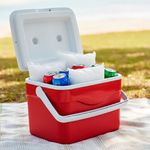 Hielo Seco en Bolsa para Conservación y Transporte en Frío