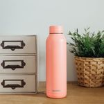 Botella Termica de 630 Ml Color Peach Pastel