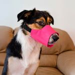 Bozal de Nylon Mediano Colores Surtidos