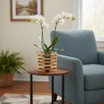 Maceta Octagonal Alta de Madera Teca No. 6