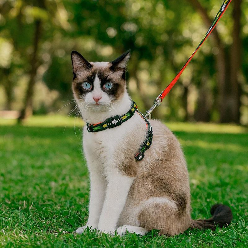Arnés con Correa para Gato de Tela Talla S - Diseños Surtidos