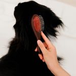 Cepillo Doble Mango Plástico para Mascota